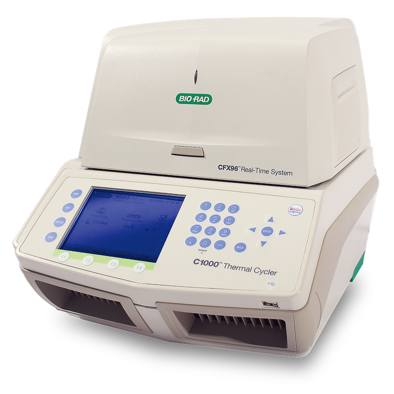 Bilde av Seegene CFX96™ Dx