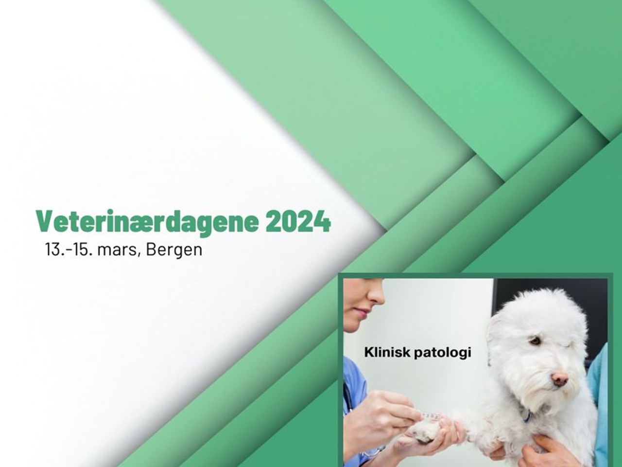 Veterinærdagene 2024