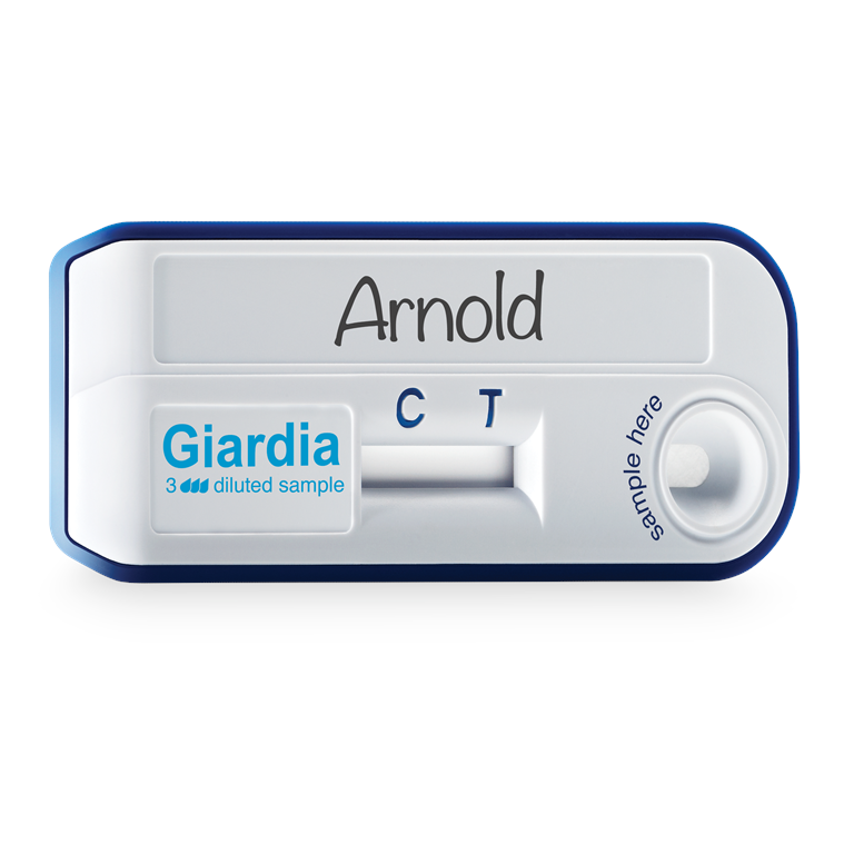 VETSCAN Giardia Test Strip Product Shot PNG