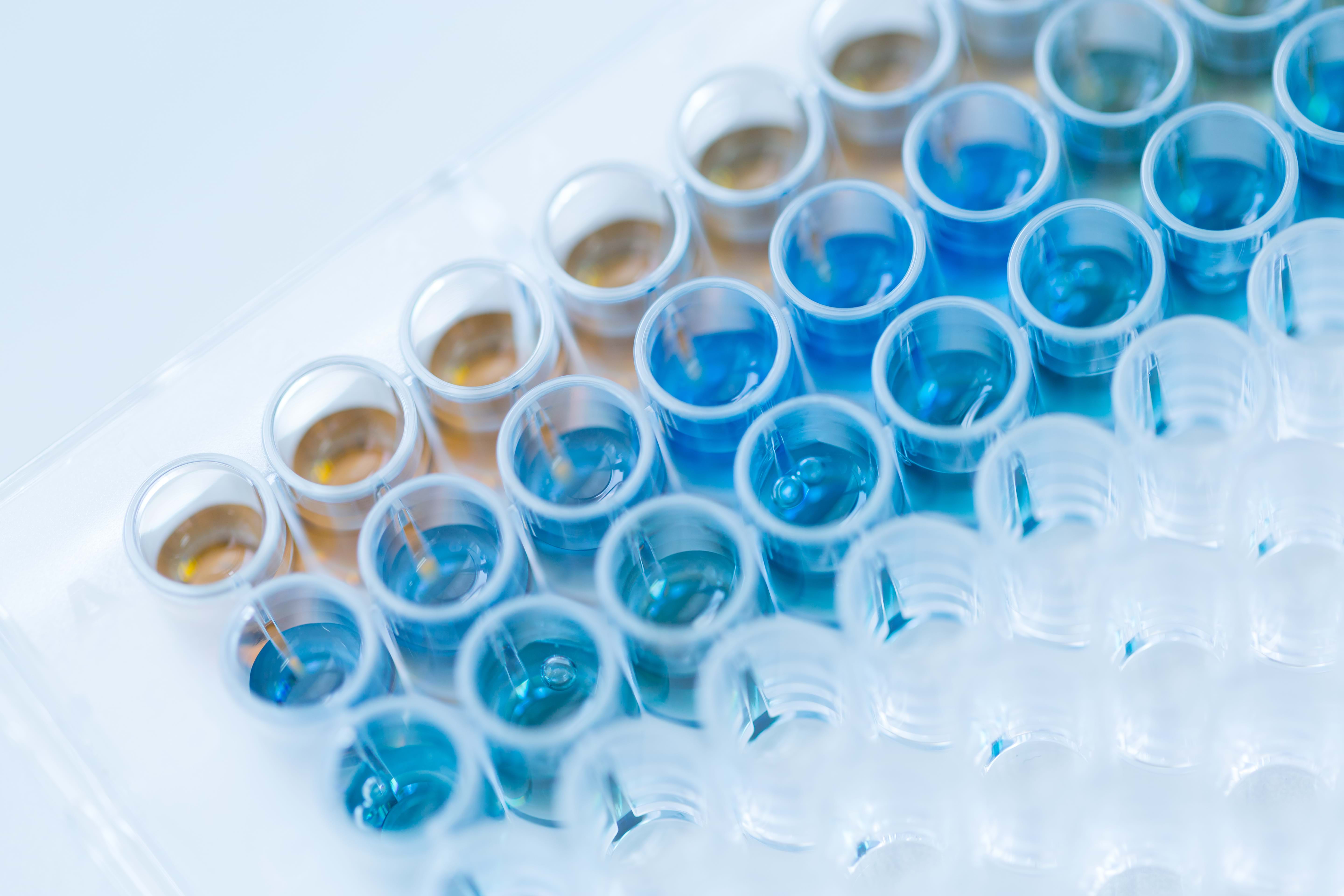 Nærbilde av en mikrotiterplate med flere brønner fylt med blå og brune væsker.