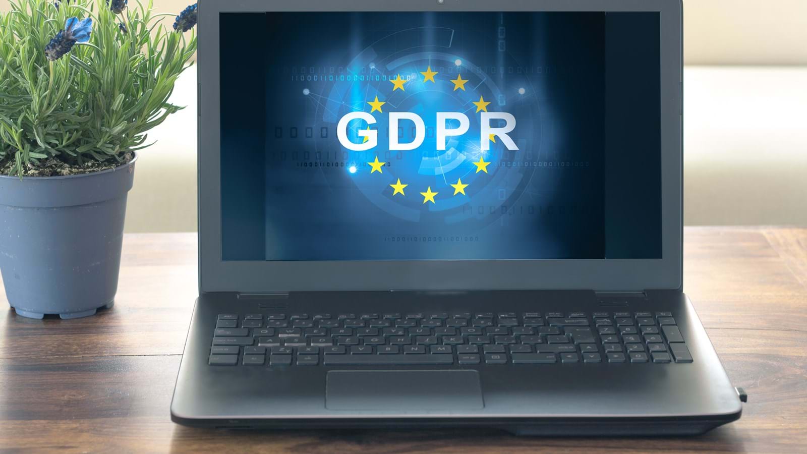 En bærbar datamaskin med GDPR-logoen på skjermen, plassert på et bord ved siden av en plante.