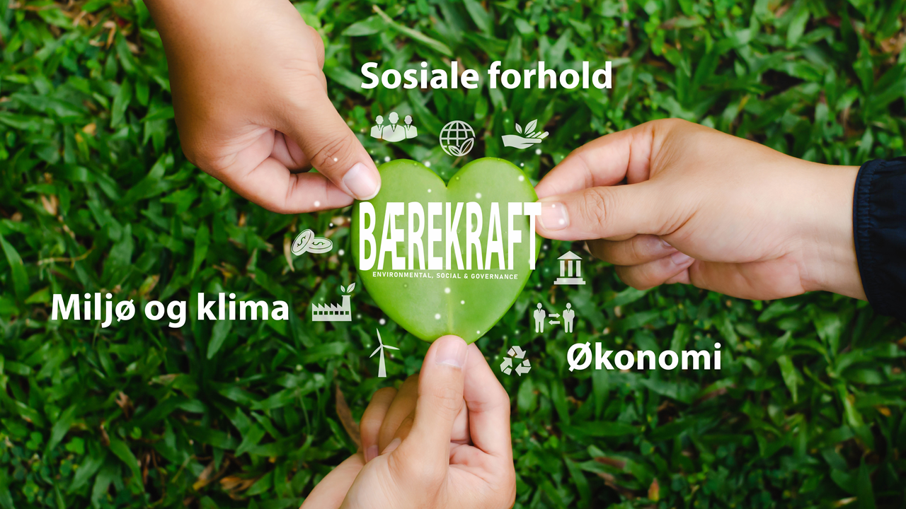 Hva er bærekraft