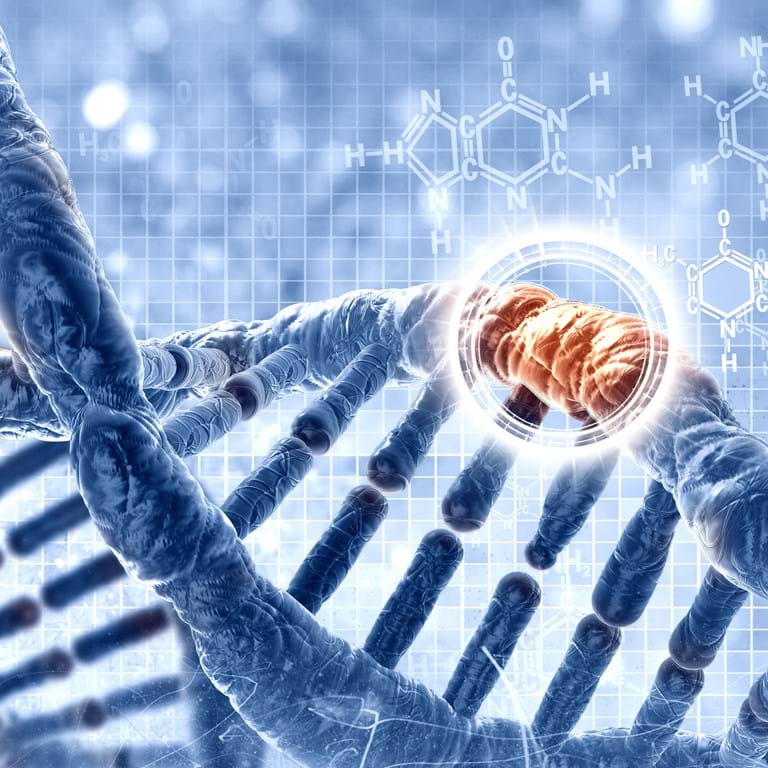 Bilde av EntroGen NGS