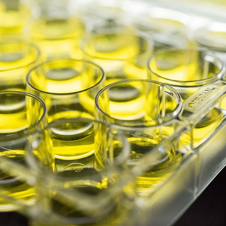 Bilde av Tecan Cellekulturplater / Cell Culture plates