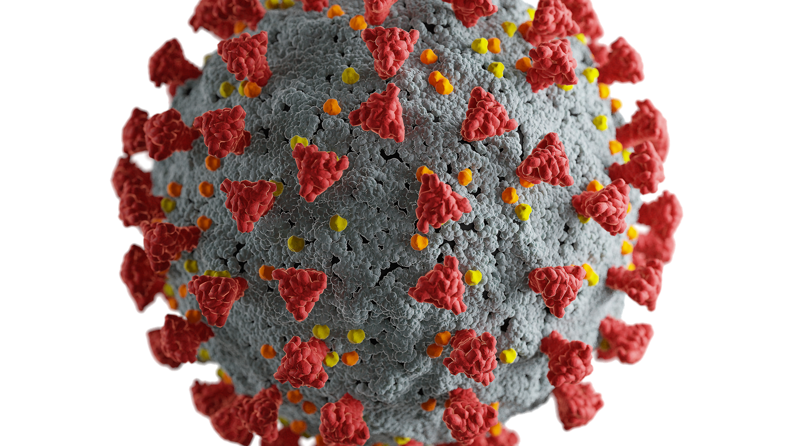 IMAGE Virus