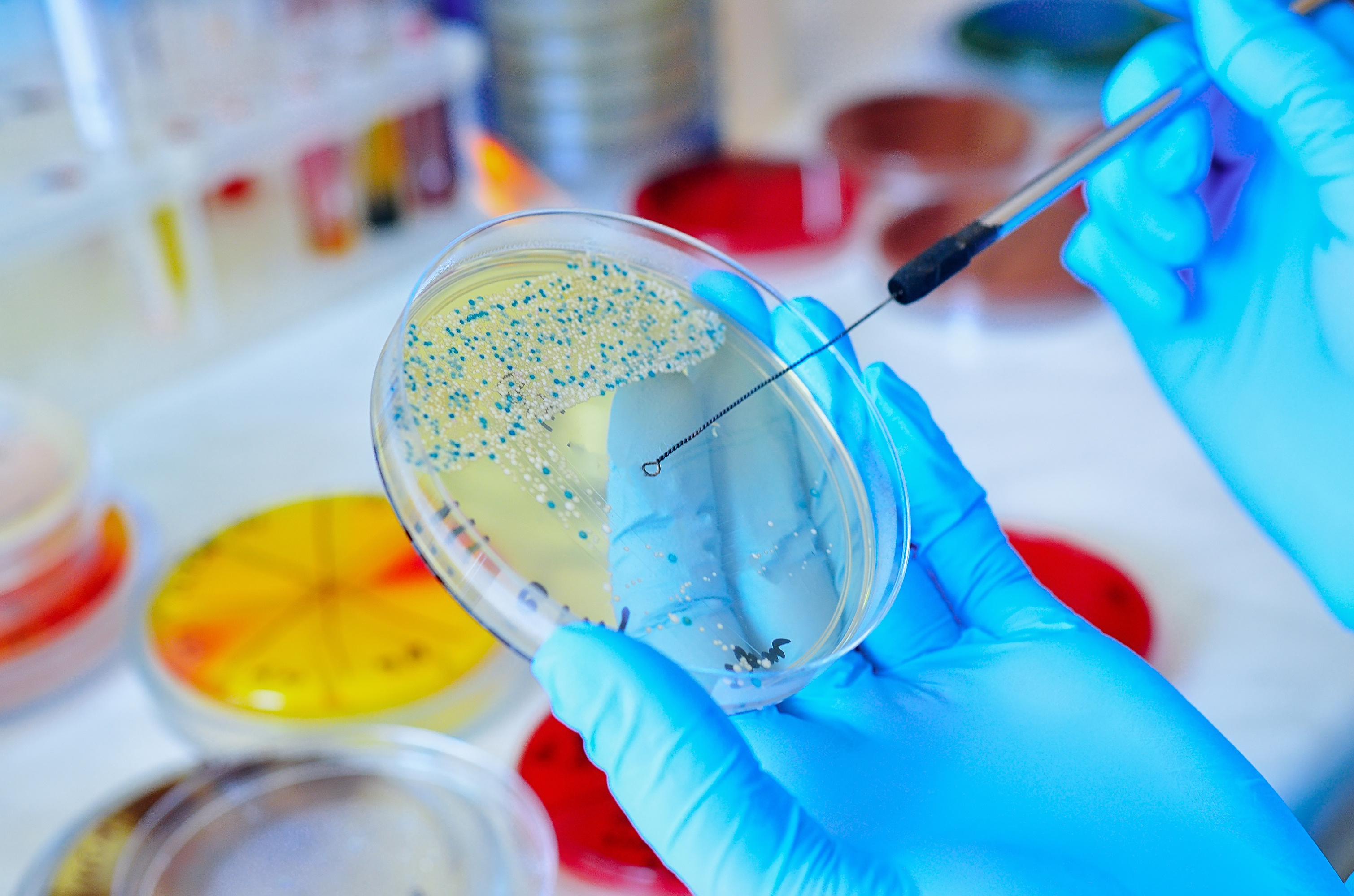 Mikrobiologi