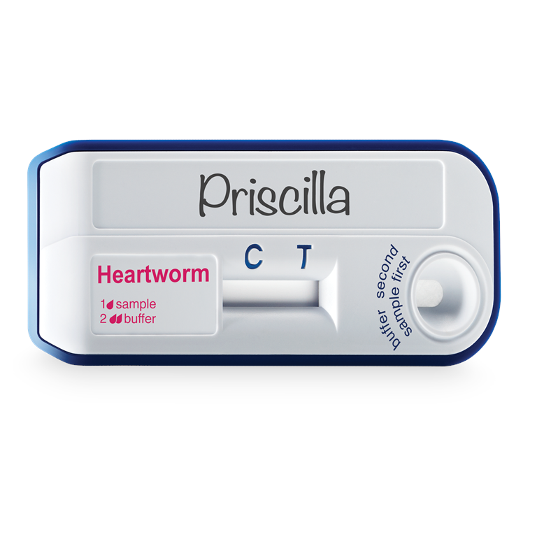 VETSCAN Heartworm Test Strip Product Shot PNG