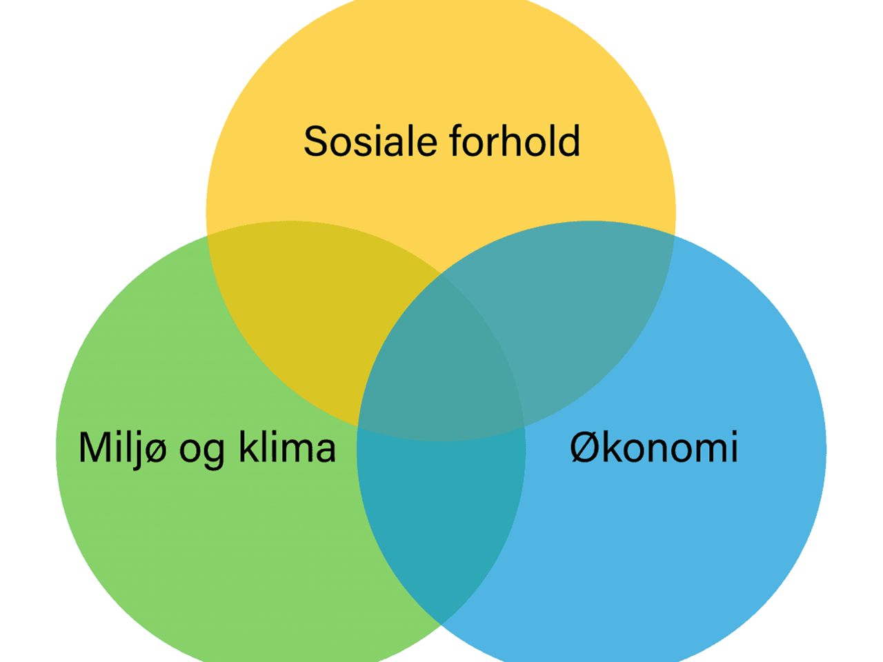 Bilde uten beskrivelse