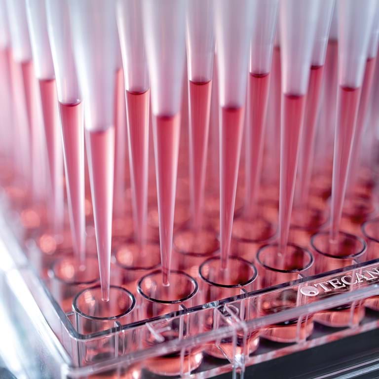 Bilde av Tecan Biochemical assay plates