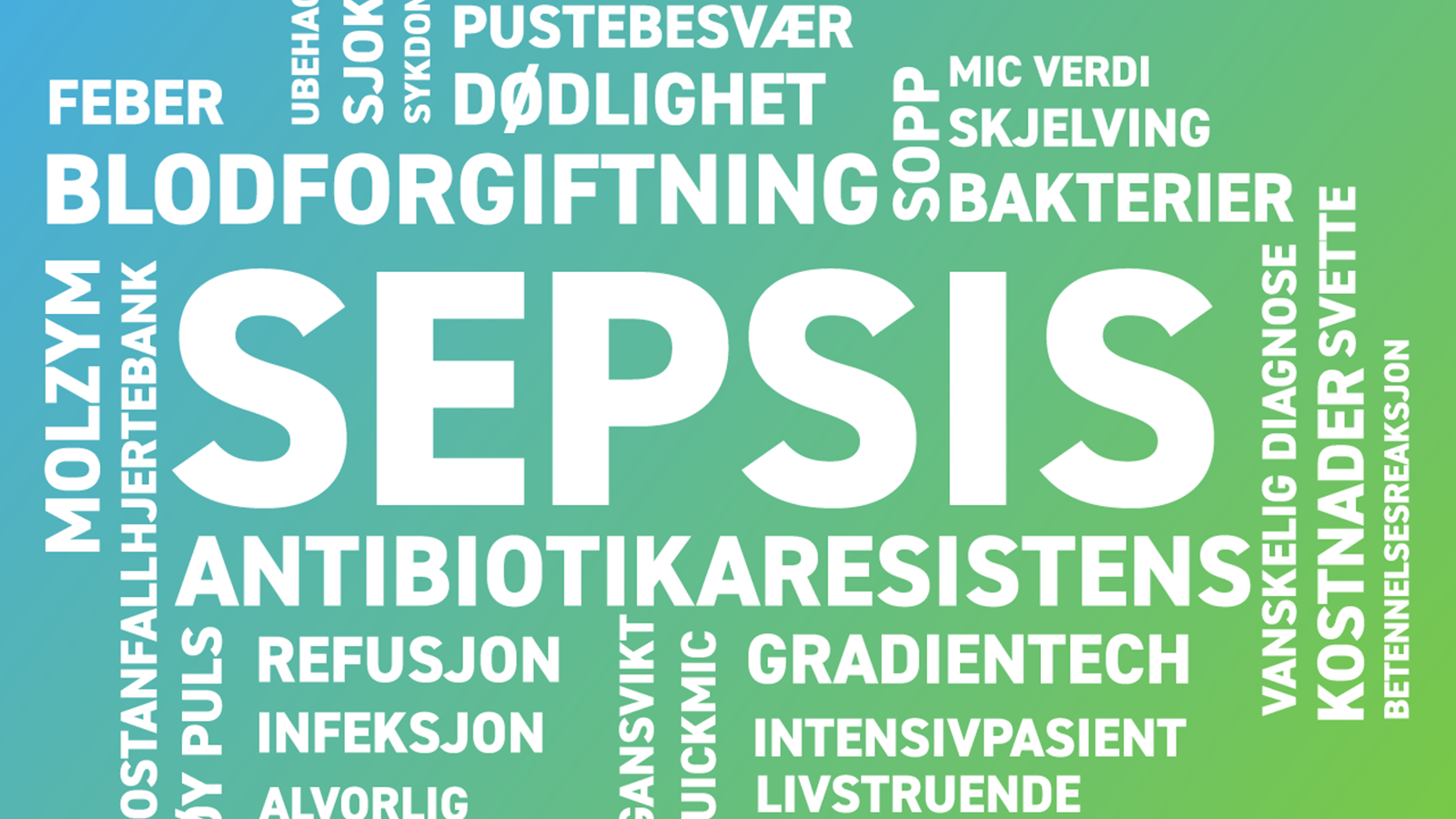 En ordsky av ulike begreper for sepsis (blodforgiftning)