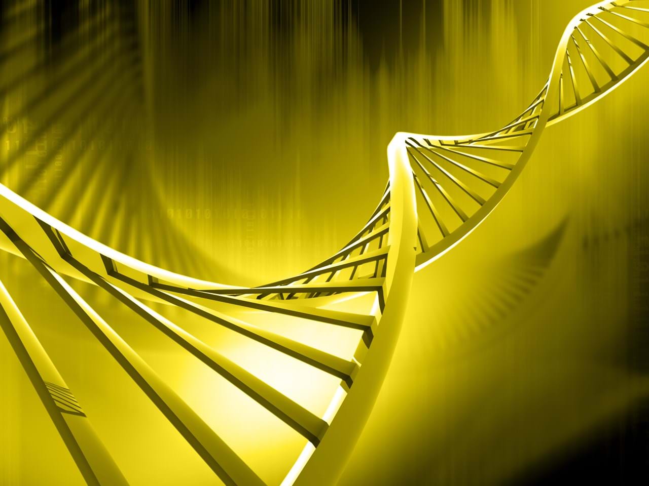 DNA